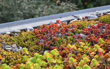 the cost of Grainthorpe green roof installation